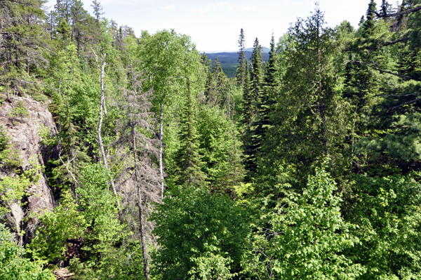 view from overlook at Ouimet Canyon